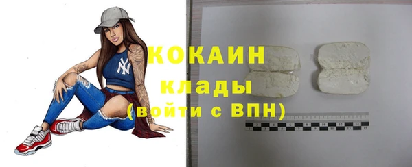 стаф Абаза