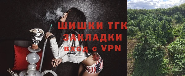 стаф Абаза