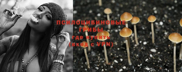 стаф Абаза