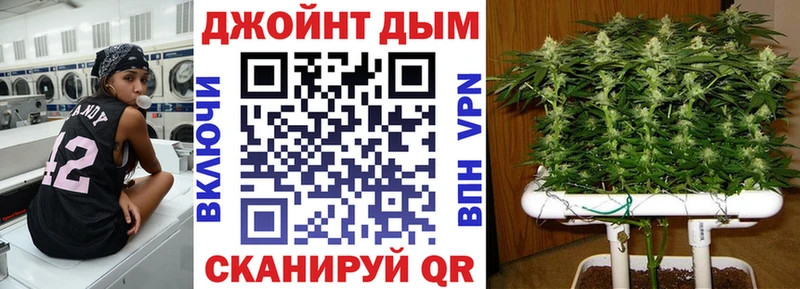 МАРИХУАНА сатива Прокопьевск